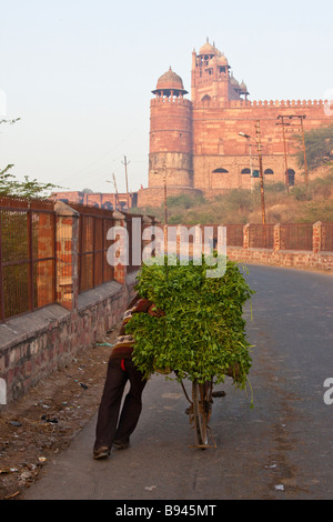 Menschen drängen in Richtung der Festung und Freitags-Moschee oder Jama Masjid in Fatehpur Sikri Indien produzieren Stockfoto