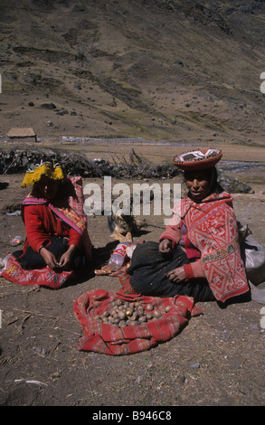 Quechua Frauen sortieren Kartoffeln während der Ernte im Dorf Cancha Cancha, in der Nähe von Lares, Cordillera Urubamba, Cusco Region, Peru Stockfoto