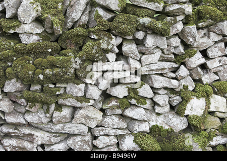 Trockenmauer mit Moos und Flechten Stockfoto