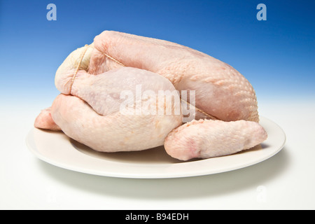 Ganze rohe Huhn mit einer abgestuften blauen Studio-Hintergrund Stockfoto