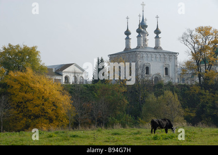 Orthodoxe Kirche, Susdal, Russland Stockfoto