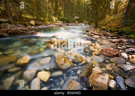 Johnston Canyon Creek, Banff Nationalpark, Alberta, Kanada. Stockfoto