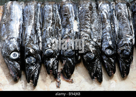 Markt der Degenfisch Funchal Madeira Stockfoto