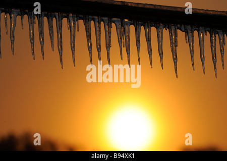 Sonnenaufgang auf einem Bauernhof in den mittleren Westen USA nach einem Eissturm. Stockfoto