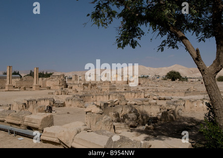 Ruinen von Khirbat al-Mafjar im Volksmund bekannt als Hisham Palast einer frühen Islamischen archäologische Stätte in der Nähe von Jericho im Westjordanland Israel Stockfoto