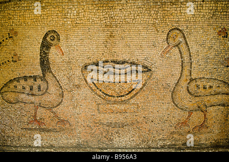 Bodenmosaik in Tabgha Kirche Darstellung Enten am Ufer des See Genezareth Israel Stockfoto