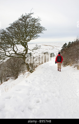 Mann, der auf den North York Moors im Winter durch den Schnee geht, North Yorkshire England Großbritannien GB Großbritannien Stockfoto