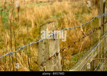 Holzzaunpfosten und Stacheldraht Schließen England Großbritannien GB Großbritannien Stockfoto