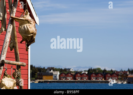 Rotes Haus und trockene Fische, Ballstad, Leknes, Lofoten, Nordland, Norwegen, Skandinavien, Europa Stockfoto