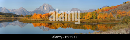 Panoramablick, Herbstfärbung in Oxbow Bend, Grand-Teton-Nationalpark, Wyoming Stockfoto