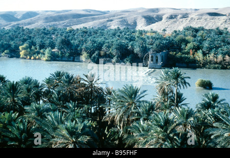 Irak Nahen Osten Süden Euphrat und Wasserrad, gesäumt von Palmen, Blick nach Westen vom Minarett der Moschee in Qalat ana Stockfoto