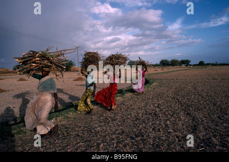 Indien in Südasien Andhra Pradesh arbeiten Frauen tragen Saris bündeln von Brennholz auf ihren Köpfen tragen. Stockfoto