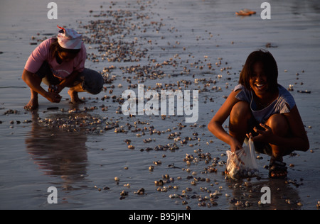 THAILAND Krabi Koh Lanta Yai Klong Dao Beach zwei Frauen sammeln Muscheln aus dem Sand bei Ebbe Stockfoto