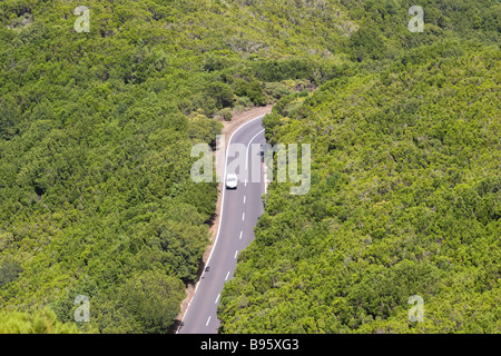 Straße durch Lorbeerwald Stockfoto