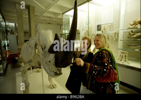 Cambridge University Charles Darwin Museum of Zoology Proben lernen Studenten Studie akademischen Besucher Rhino Stockfoto