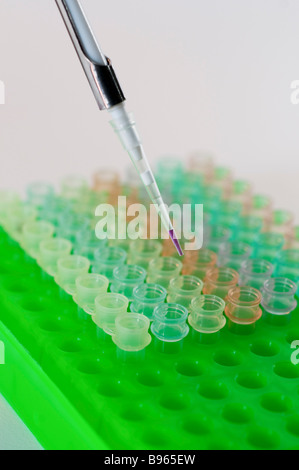 Enzym verknüpften Immunosorbentprobe Assay ELISA in einer 96-well-Platte Stockfoto