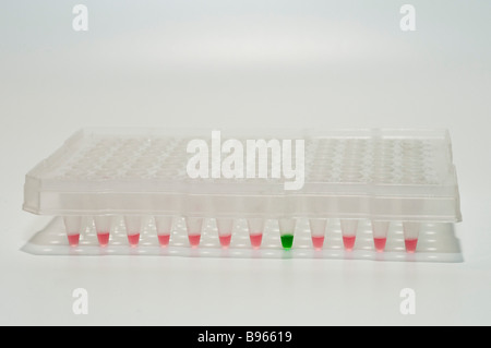 96-well-Platte, verwendet in der medizinischen und biologischen Forschung auf weißem Hintergrund Stockfoto