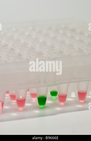 96-well-Platte, in der medizinischen und biologischen Forschung verwendet Stockfoto