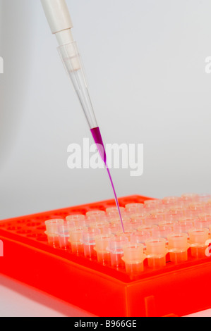 Enzym verknüpften Immunosorbentprobe Assay ELISA in einer 96-well-Platte Stockfoto