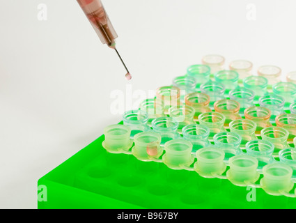 Enzym verknüpften Immunosorbentprobe Assay ELISA in einer 96-well-Platte Stockfoto