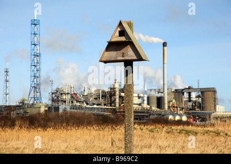 Nistkästen für Vögel, Eulen, auf Seal Sands Gezeiten Wattenmeer auf der Teesmouth National Nature Reserve NNR, Ostküste Englands. Großbritannien Stockfoto