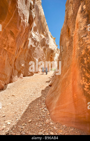 Wandern in Little Wild Horse Canyon Utah USA Stockfoto