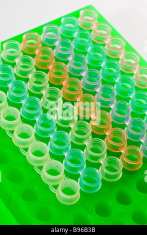 96-well-Platte, in der medizinischen und biologischen Forschung verwendet Stockfoto