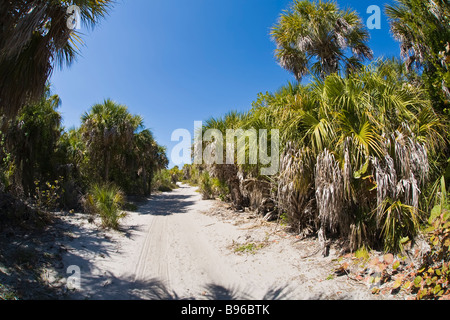 Pfad auf Egmont Key State Park am Eingang zum Tampa Bay am Golf von Mexiko in Florida Stockfoto