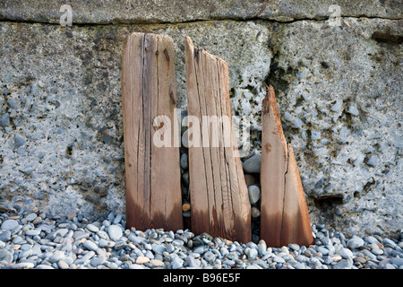 Die Reste von einem Holz-Buhne an einem Strand in Wales Stockfoto