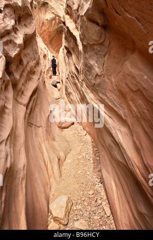 Wandern in Little Wild Horse Canyon Utah USA Stockfoto