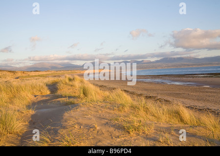 Newborough Isle of Anglesey North Wales UK März Blick über die Sanddünen von Traeth Llanddwyn eine nationale Natur-Reserve Stockfoto