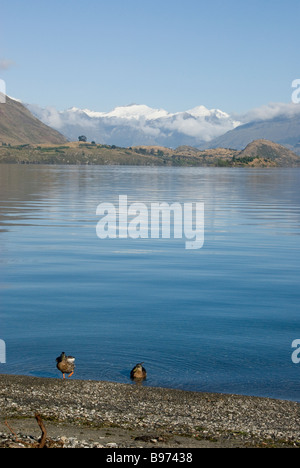 Reflexionen der Berge im Lake Wanaka, Otago, Südinsel, Neuseeland Stockfoto