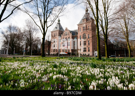 Eine Weitwinkelaufnahme auf das Tropenmuseum in Amsterdam durch die Rasen-Plat mit blühenden Krokusse Stockfoto