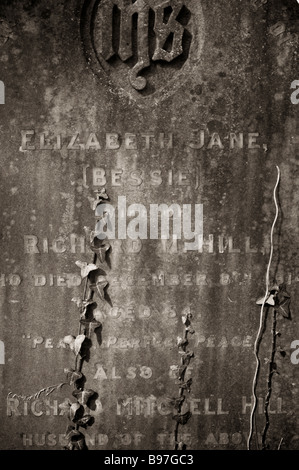 Blick auf Southampton alten Friedhof befindet sich in der gemeinsamen in Southampton, Hampshire, EnglandS Stockfoto