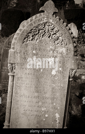 Blick auf Southampton alten Friedhof befindet sich in der gemeinsamen in Southampton, Hampshire, England Stockfoto