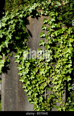 Blick auf Southampton alten Friedhof befindet sich in der gemeinsamen in Southampton, Hampshire, England Stockfoto