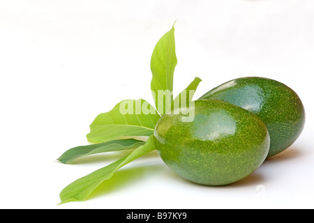 Zwei frische avocados Stockfoto
