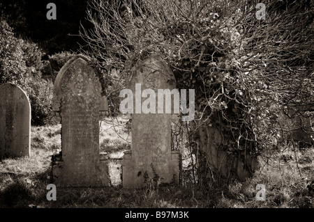 Southampton alten Friedhof befindet sich auf der gemeinsamen in southampton Stockfoto