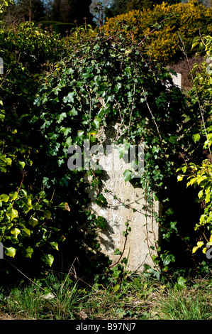 Southampton alten Friedhof befindet sich auf der gemeinsamen in southampton Stockfoto