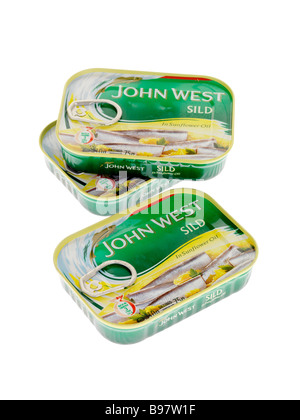 Markenprodukte Dosen oder Dosen von John West verarbeitet Sild Fisch in Sonnenblumenöl Isoliert gegen einen weißen Hintergrund mit keine Menschen und einen Freistellungspfad Stockfoto