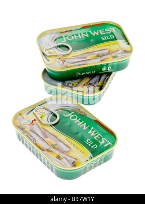 Markenprodukte Dosen oder Dosen von John West verarbeitet Sild Fisch in Sonnenblumenöl Isoliert gegen einen weißen Hintergrund mit keine Menschen und einen Freistellungspfad Stockfoto