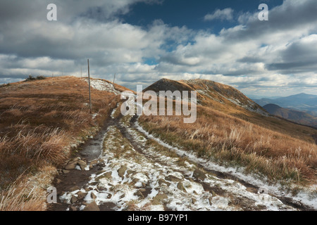 Bieszczady-Gebirge im Herbst, Blick auf Tarnica, Nationalpark, Polen Stockfoto