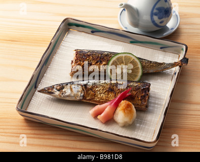 Gebratenen Makrelenhecht mit Salz Stockfoto