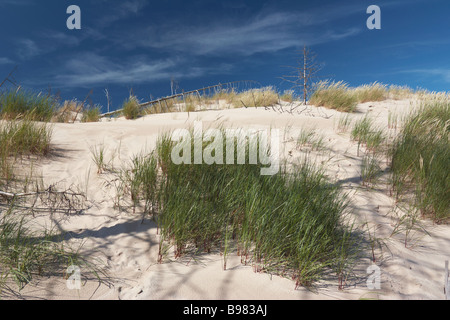 Lacka Gora Dünen bewegen, vordere umstoßen Wald von Bäumen Slowinski Nationalpark Leba Polen Stockfoto