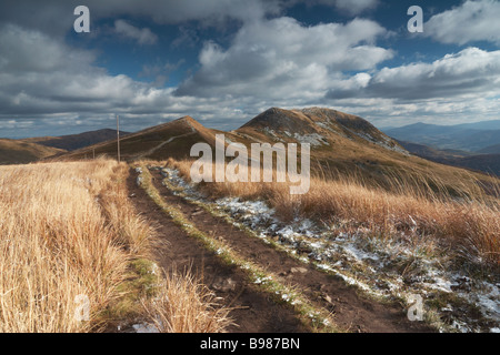 Bieszczady-Gebirge im Herbst, Blick auf Tarnica, Nationalpark, Polen Stockfoto