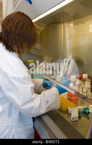 Frau, Frauen arbeiten im Labor Stockfoto