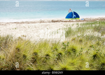 Ein junger Mann baut ein Zelt am Strand mit Blick auf den Indischen Ozean, Western Australia. Mann und Zelt verschwommen, Vordergrund scharf. Stockfoto