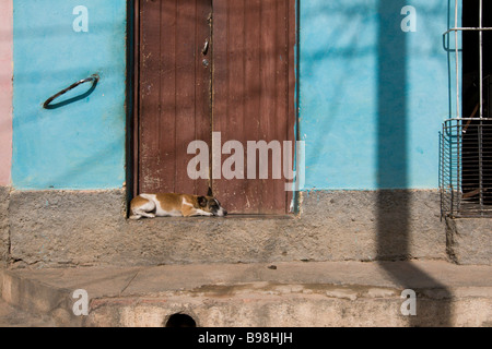 ein Hund schlafen in der Sonne in Trinidad, Kuba Stockfoto