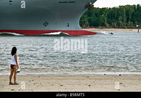Delfin spielt in der erwacht eines Frachtschiffes in Savannah River. Stockfoto