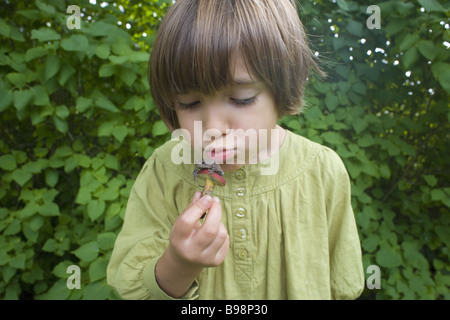 Junges Mädchen halten kleiner Frosch Stockfoto